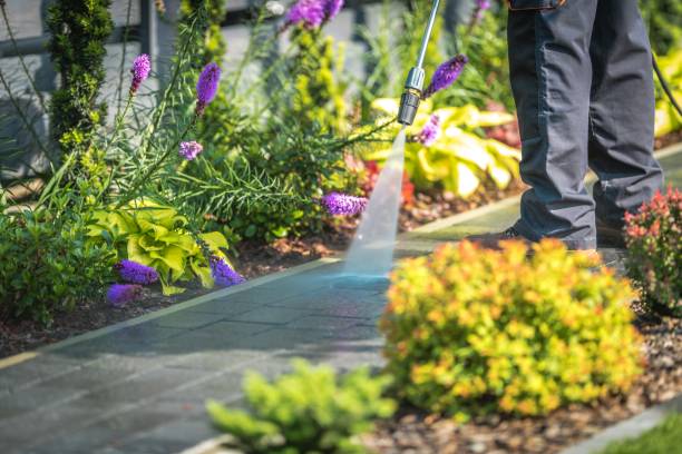 Animal Enclosure Cleaning in Lordstown, OH